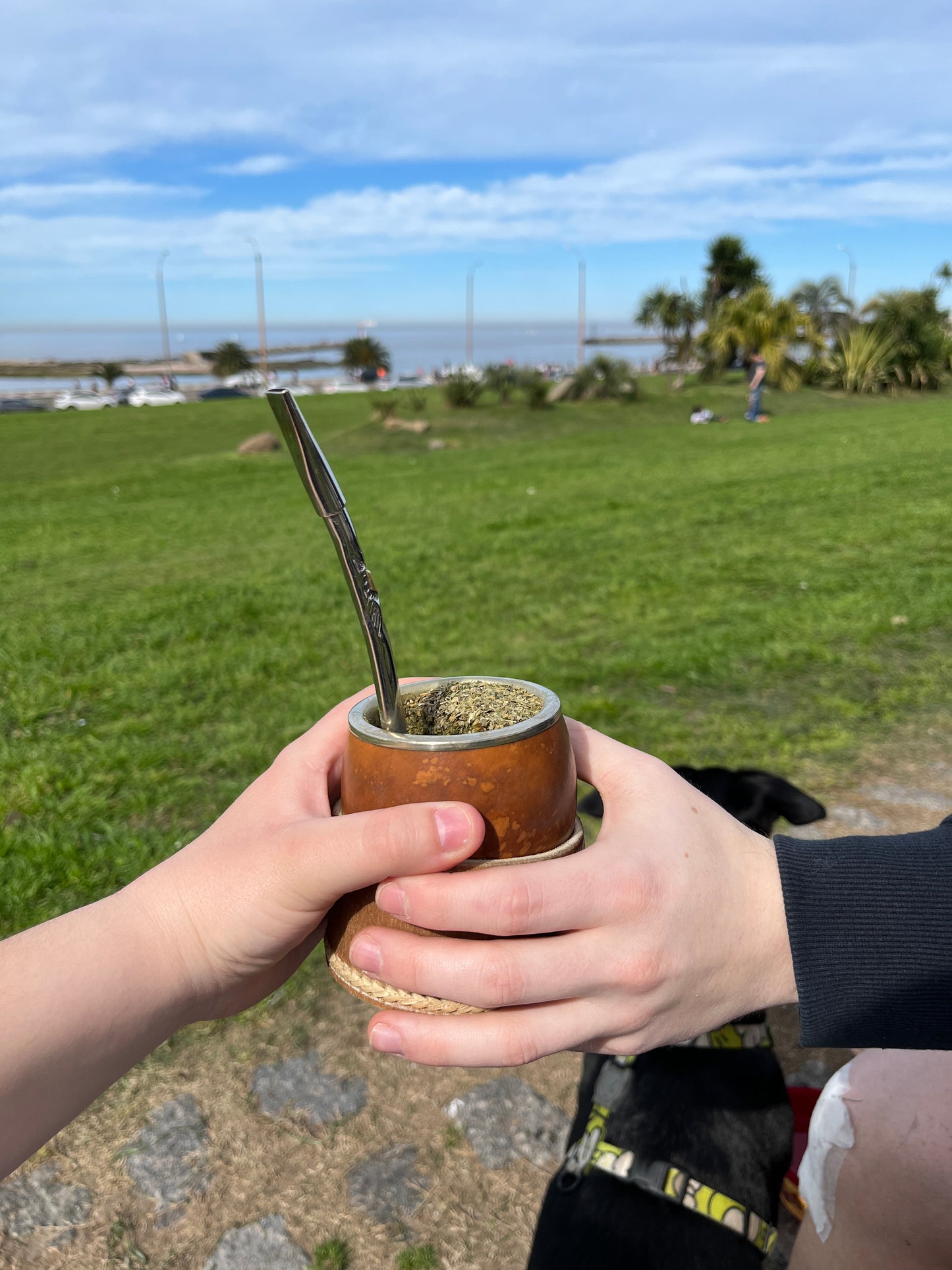 Mate pulido boca chata de acero inoxidable